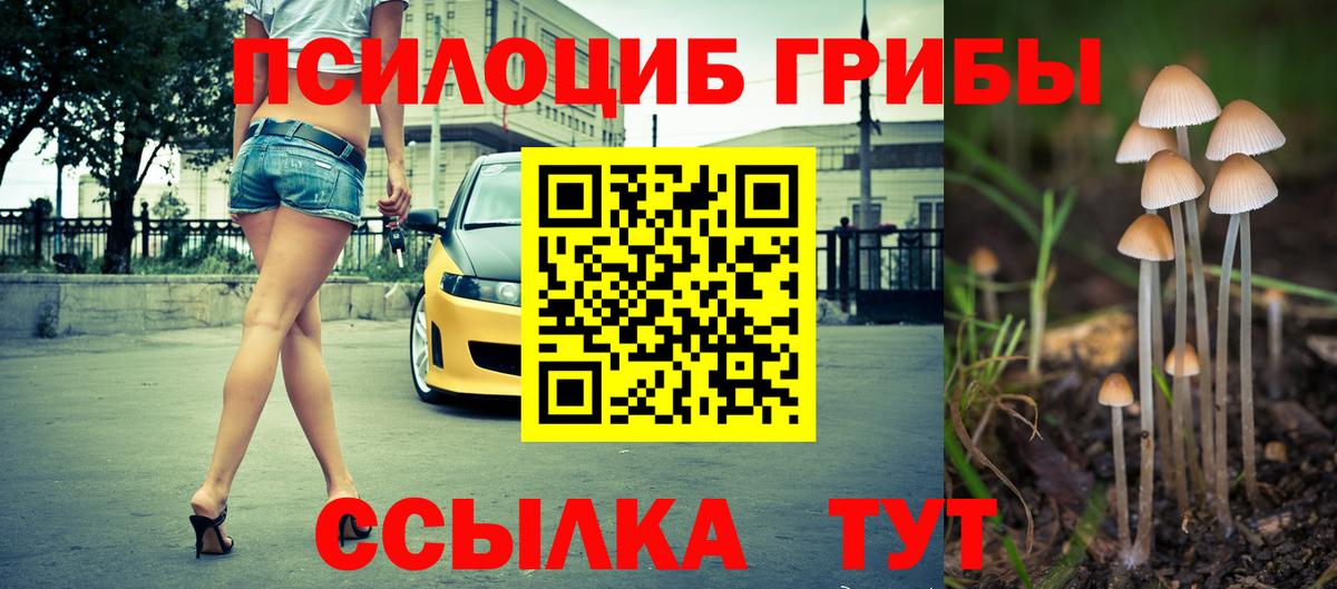 Галлюциногенные грибы мицелий Мурманск
