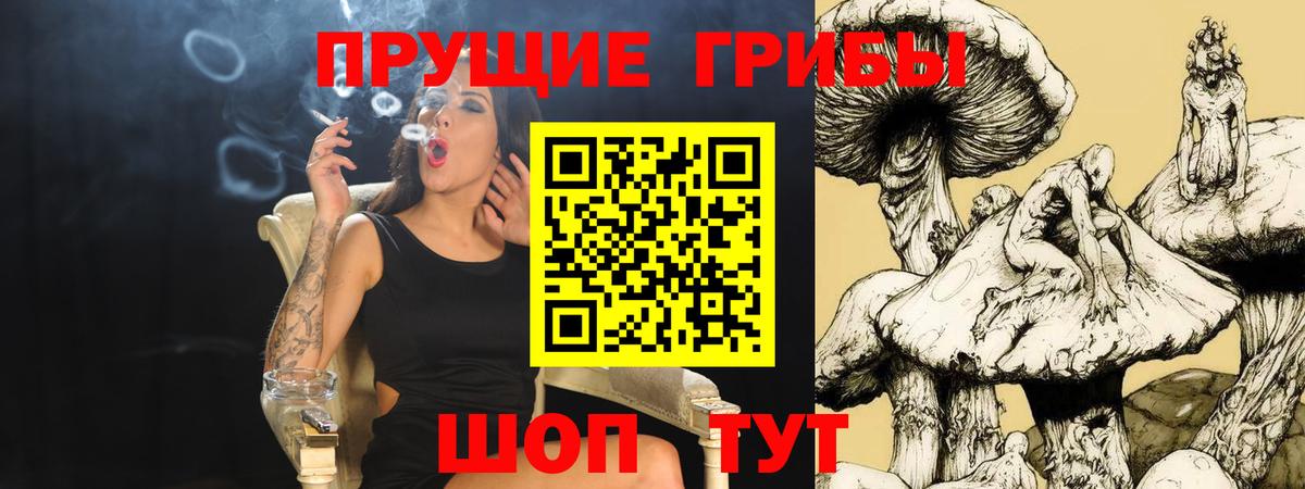 Галлюциногенные грибы GOLDEN TEACHER  Псилоцибиновые грибы прущие грибы  Мурманск  Вход с VPN 